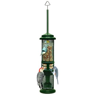 Brome Squirrel Buster Squirrel-Proof Bird Feeder for Nuts Image 1