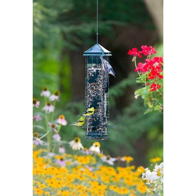 Brome Squirrel Solution 200 Squirrel Proof Bird Feeder Image 1