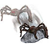 Brown Jumping Spider Decoration Image 1