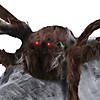 Brown Jumping Spider Decoration Image 1