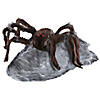 Brown Jumping Spider Decoration Image 2