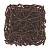 Bulk 144 Pc. Realistic Earthworms Image 1
