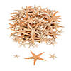 Bulk 500 Pc. Mini Natural Sugar Starfish Image 1