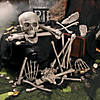 Bulk Bag of Bones Set - 56 Pc. Image 1