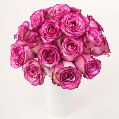 Bulk Flowers Fresh Bicolor White and Pink Roses Image 2