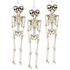 Bulk Two-Headed Life-Size Posable Skeleton Halloween Decorations Image 1