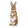 Bunny Rabbit Cardboard Stand-Up Image 1