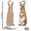 Bunny Rabbit Cardboard Stand-Up Image 2