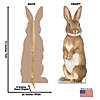 Bunny Rabbit Cardboard Stand-Up | Oriental Trading