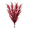 Burgandy Plume Bundle (Set of 6) Image 1