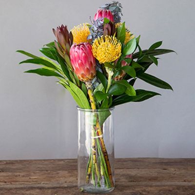 Bursting Sunbeam Protea DIY Fresh Flower Pack Image 1