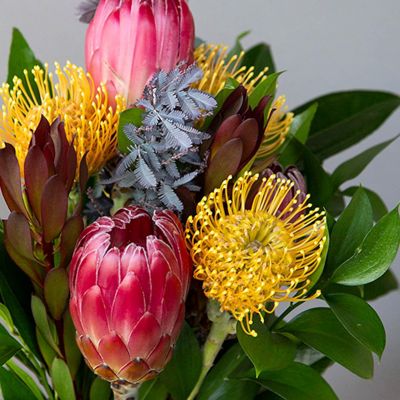 Bursting Sunbeam Protea DIY Fresh Flower Pack Image 2