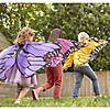 Butterfly Wings: Orange Image 1