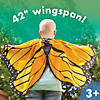 Butterfly Wings: Orange Image 3