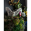 Butterfly Image 1