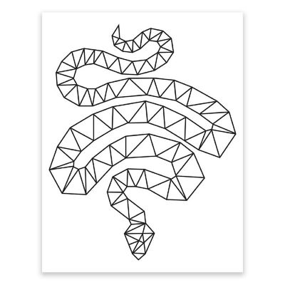 BW Origami Snake 8.5x11 Image 1