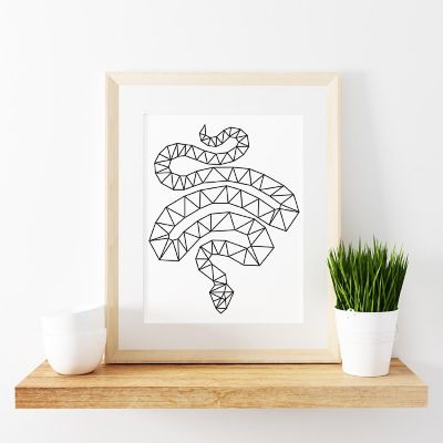 BW Origami Snake 8.5x11 Image 1