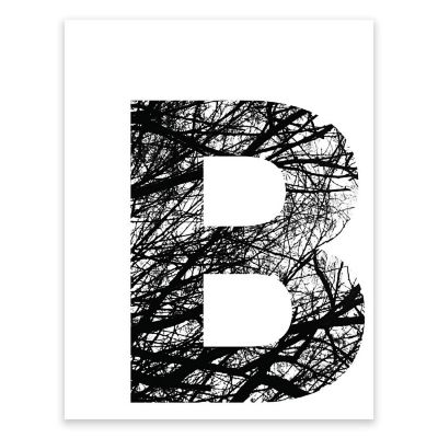 BW Tree Branches Letter B 8.5x11 Image 1