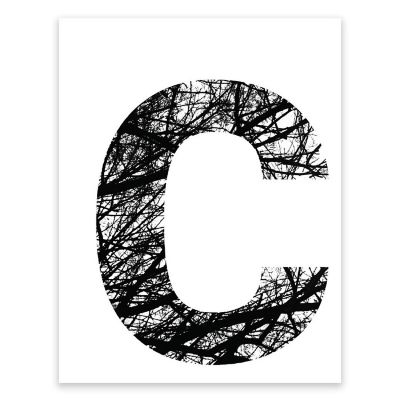 BW Tree Branches Letter C 8.5x11 Image 1