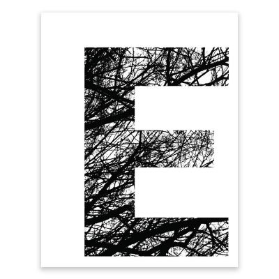 BW Tree Branches Letter E 8.5x11 Image 1