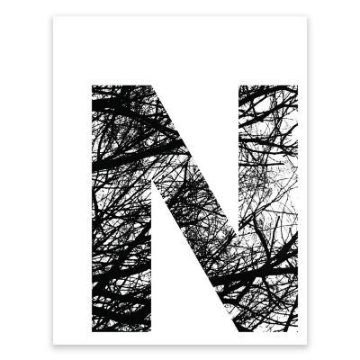 BW Tree Branches Letter N 8.5x11 Image 1