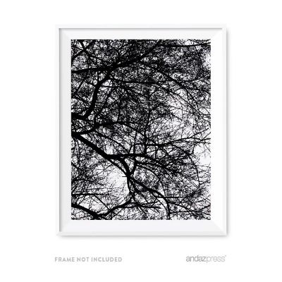 BW Winter Tree Branches Photo 8.5x11 Image 1