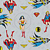 Camelot Fabrics Fleece DC Comics Precut 54"x 60" Wonder Woman Girl Power 2pc Image 1