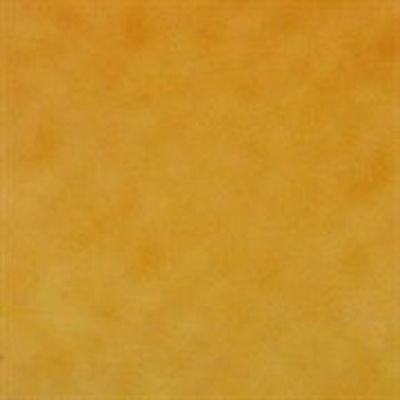 Camp Peanuts~Orange Blender by Quilting Treasures~ Cotton Fabric for Sewing Image 1