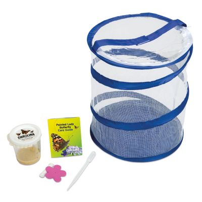Carolina Biological Supply Company Living Wonders Butterfly Experience Kit with 5-Caterpillar Coupon Image 1