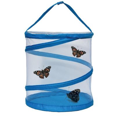 Carolina Biological Supply Company Living Wonders Giant Butterfly Experience Kit with 15-Caterpillar Coupon Image 1
