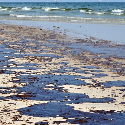 Carolina Biological Supply Company Oil Spill Bioremediation Kit Image 1