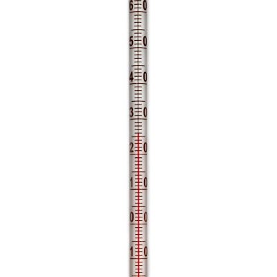 Carolina Biological Supply Company Red Spirit-Filled Partial Immersion 12" Thermometer (-20 to 110 C) Image 2
