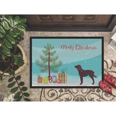 Caroline's Treasures, Christmas, American Water Spaniel Merry Christmas Tree Indoor or Outdoor Mat 24x36, 36 x 24, Dogs Image 2