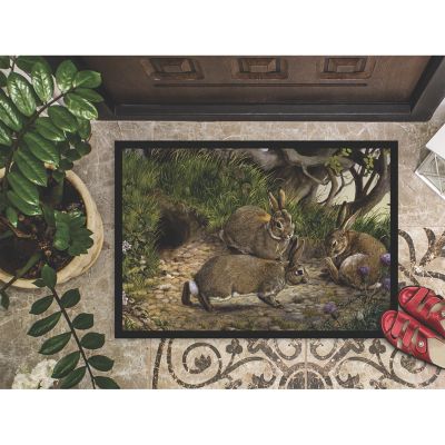 Caroline's Treasures Rabbits and the Rabbit Hole Indoor or Outdoor Mat 24x36, 36 x 24, Farm Animals Image 2