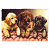 Caron Latch Hook Kit - Lab Puppies Image 1