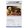 Caron Latch Hook Kit - Lab Puppies Image 1