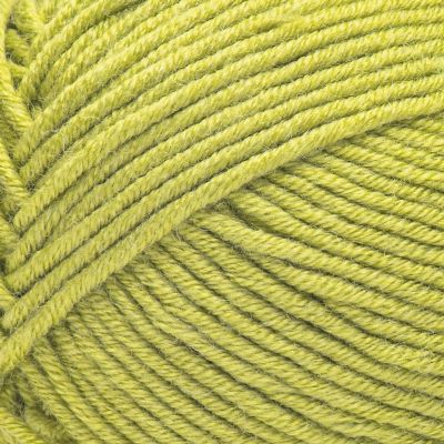Caron Simply Me Yarn-Olive Quartz Image 2