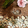 Cast Iron Snail Key Hider Image 3