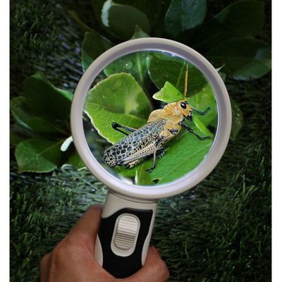 Cavepop Magnifying Glass 5X and 10X with LED Light Image 3