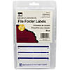 Charles Leonard File Folder Labels, Blue, 248 Per Pack, 12 Packs Image 1