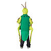 Child's Grasshopper Costume Image 1