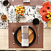 Cinnamon  Pvc Doubleframe Placemat 6 Piece Image 2