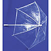 Clear Plastic Parasol Image 1