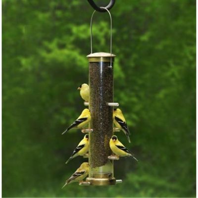 Cole Feets Nifty Niger Wild Bird Feeder, Clear Polycarbonate, 8 Ports Image 1