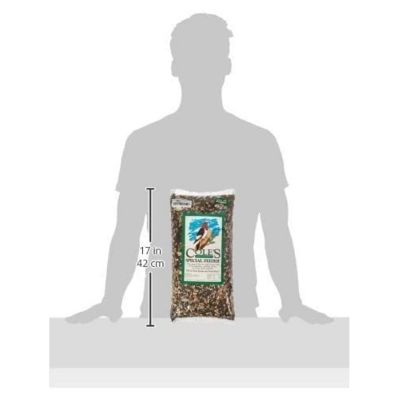 Cole's SF05 Special Feeder Bird Seed, 5-Pound Image 3