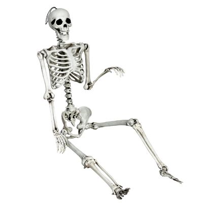 Costway 5.4ft Halloween Skeleton Life Size Realistic Full Body Hanging w/ Movable Joints Image 1