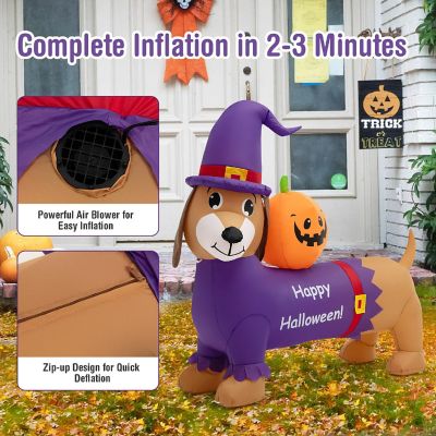 Costway 5 FT Long Halloween Inflatable Dachshund Dog with Pumpkin Self Inflating Yard Image 3