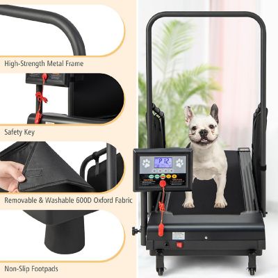 Costway Dog Treadmill for Small/Medium Dogs Indoors Pet Running Training Machine Image 3