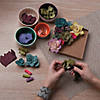 Craft Crush: Felt Succulent Kit Image 2