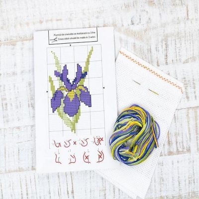 Crafting Spark (Wizardi) - Iris B021L Counted Cross-Stitch Kit Image 2